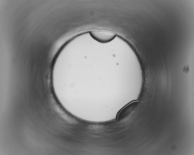 X0000112871511200909181812