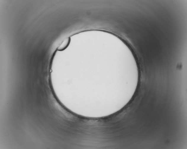 X0000112871512200909181812