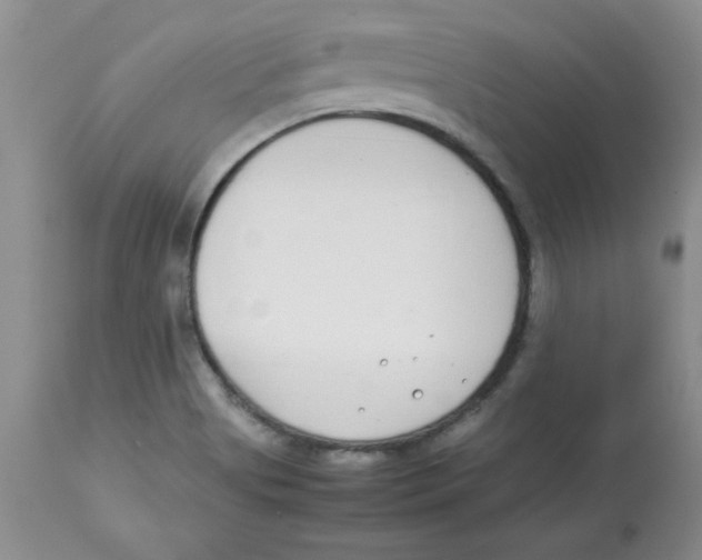 X0000112871513200909181812