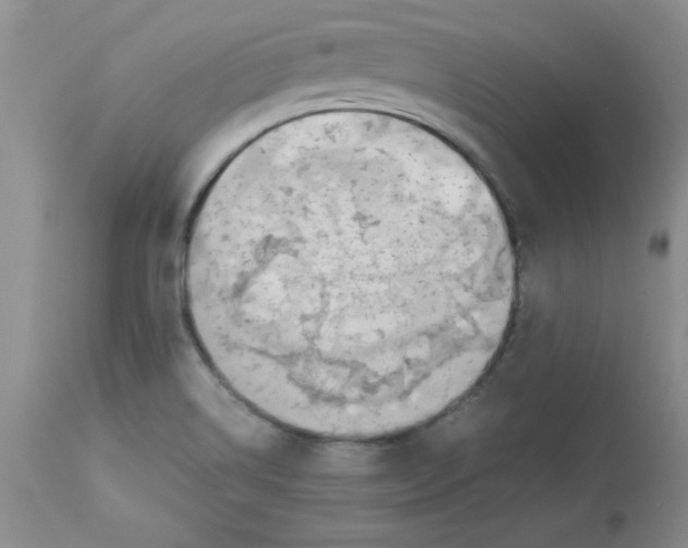 X0000112871514200909181812