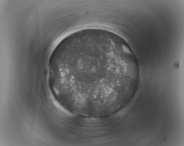 X0000112871515200909181812