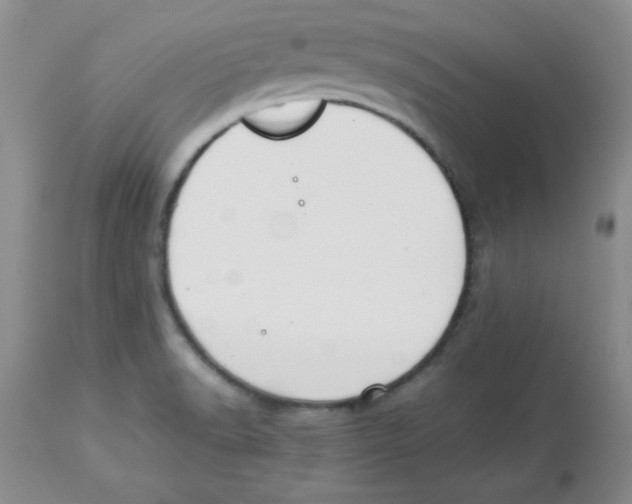 X0000112871518200909181812