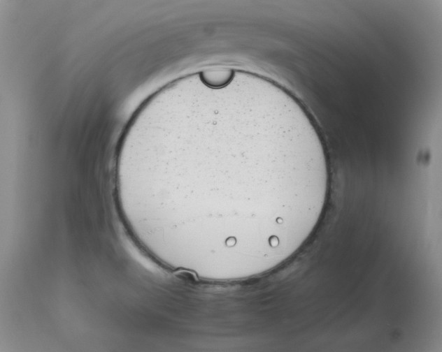 X0000112871519200909181812