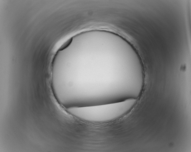 X0000112871520200909181812