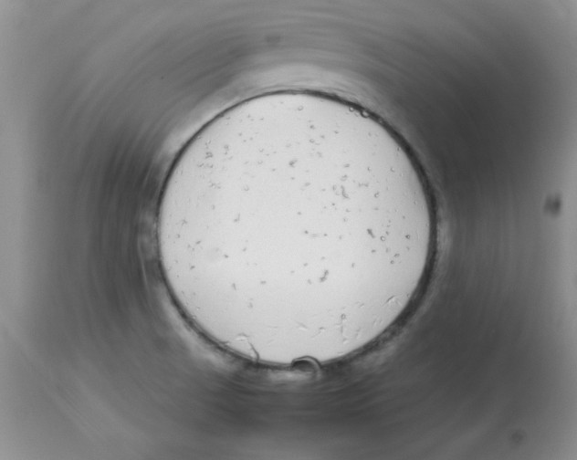 X0000112871521200909181812