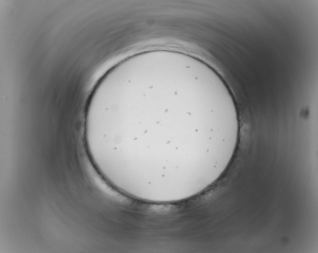 X0000112871523200909181812