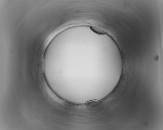 X0000112871524200909181812