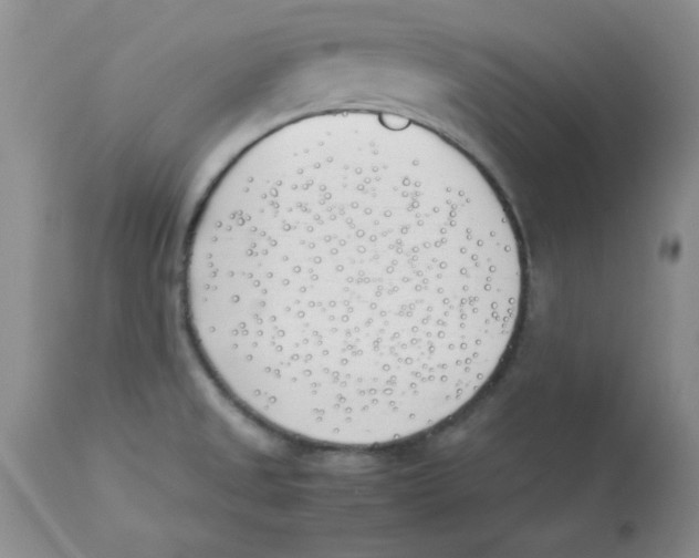 X0000112871525200909181812