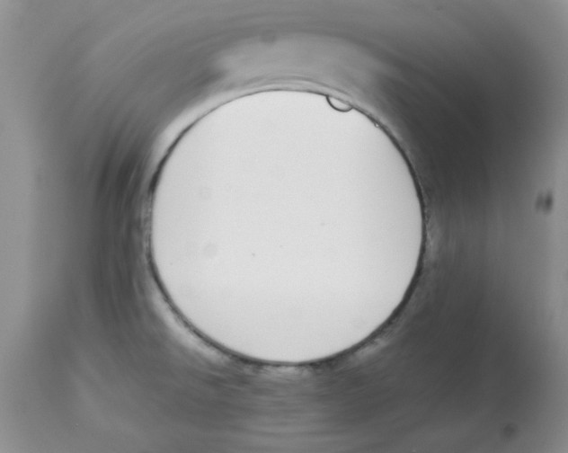 X0000112871526200909181812