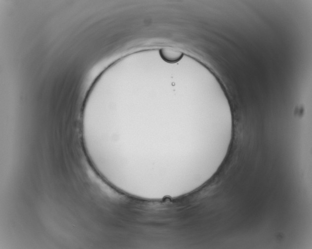 X0000112871527200909181812