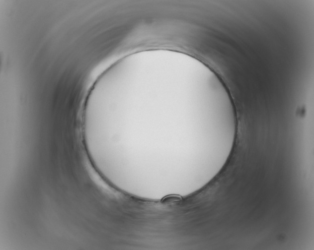 X0000112871528200909181812