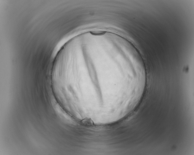 X0000112871530200909181812