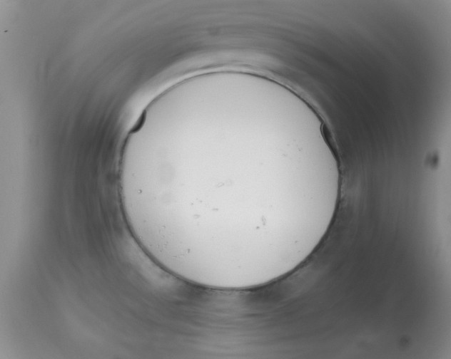 X0000112871532200909181812