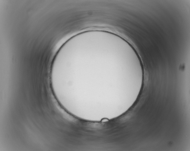 X0000112871533200909181812