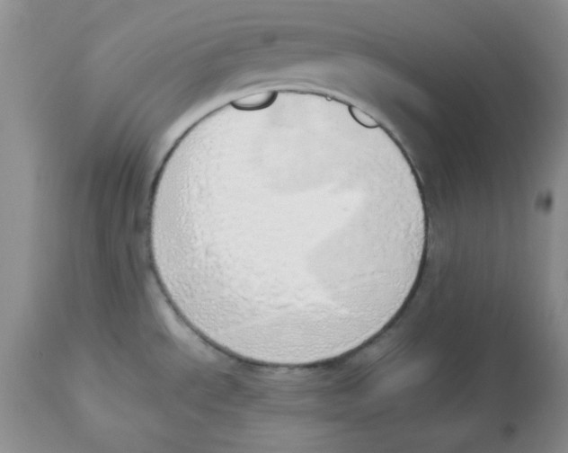 X0000112871534200909181812