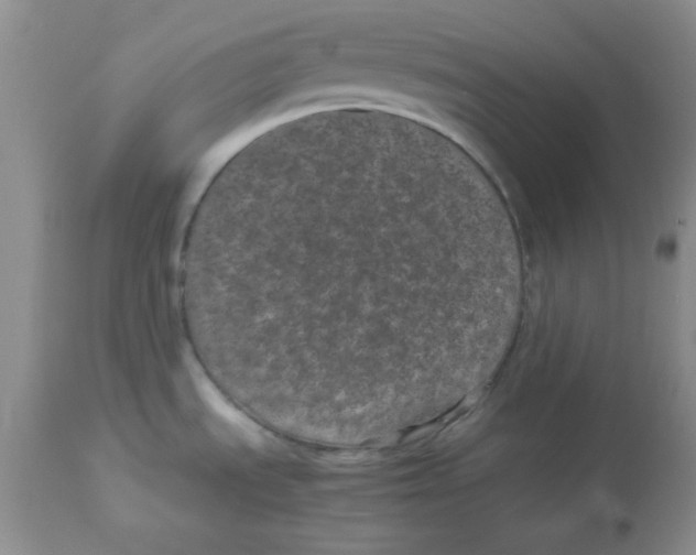 X0000112871535200909181812