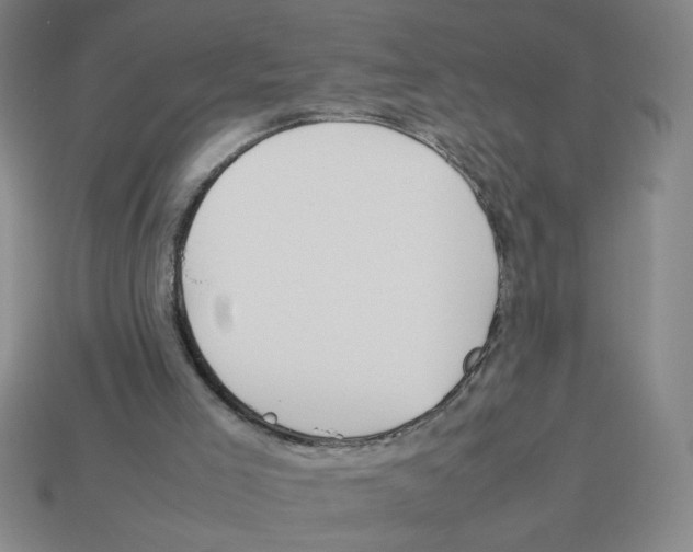 X0000112870005200910021342