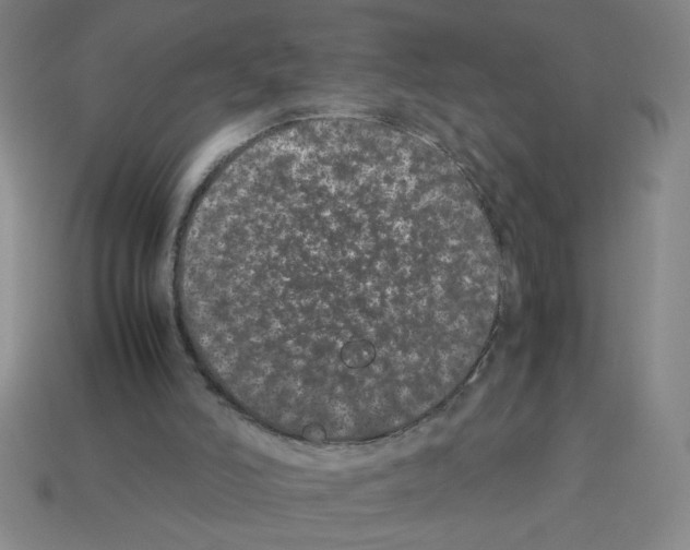 X0000112870006200910021342