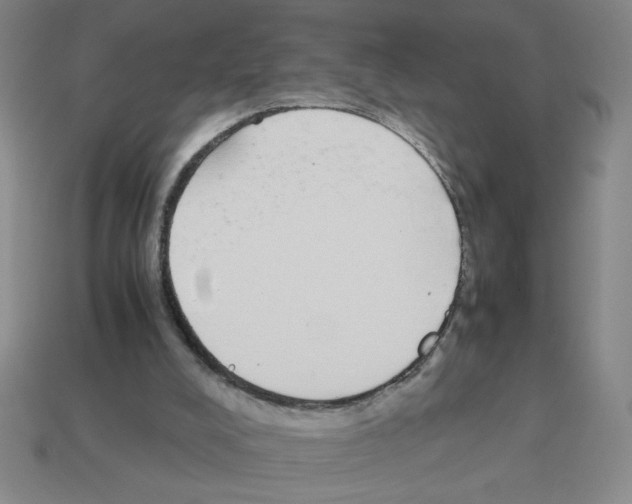 X0000112870008200910021342