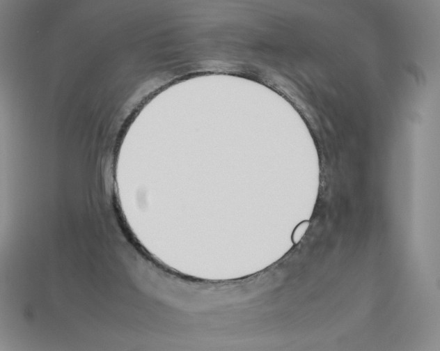 X0000112870011200910021342