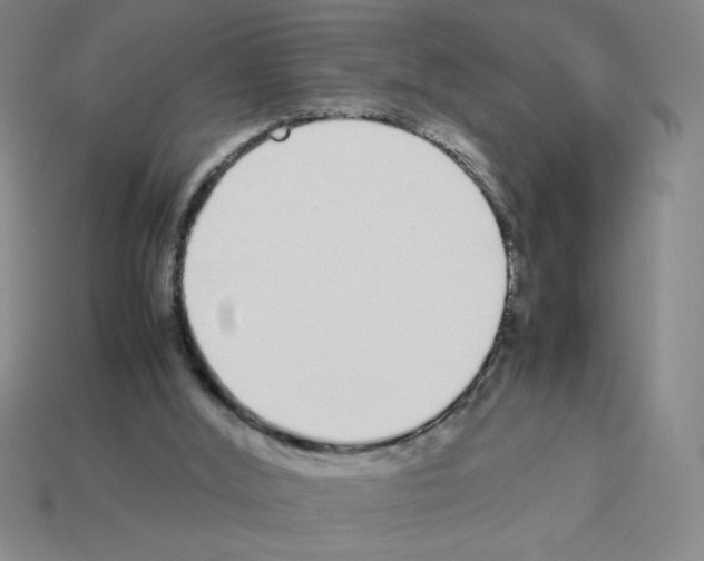 X0000112870012200910021342