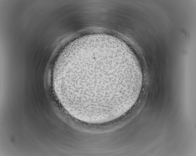 X0000112870014200910021342