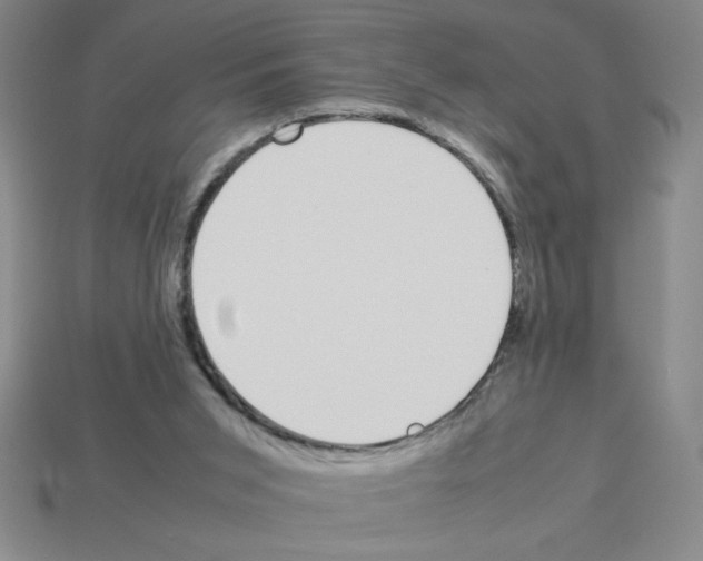 X0000112870015200910021342