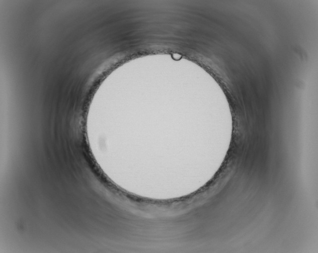 X0000112870016200910021342