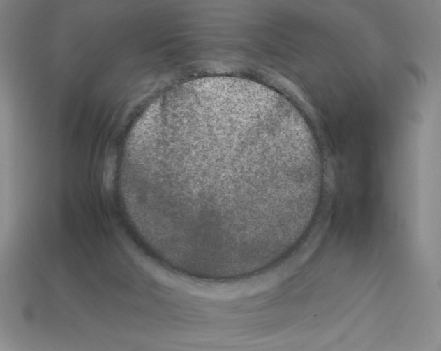 X0000112870018200910021342