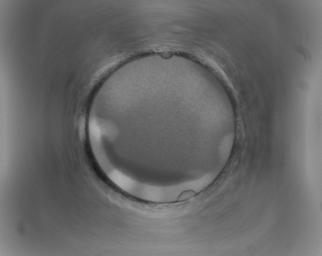 X0000112870019200910021342