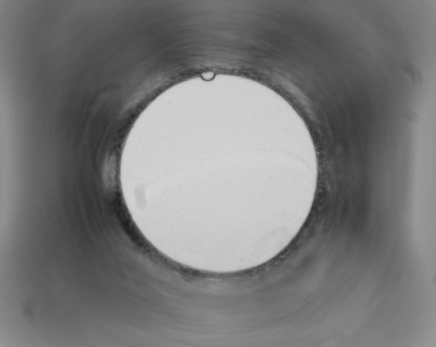 X0000112870020200910021342