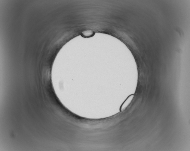 X0000112870021200910021342