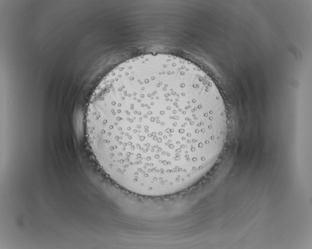 X0000112870022200910021342