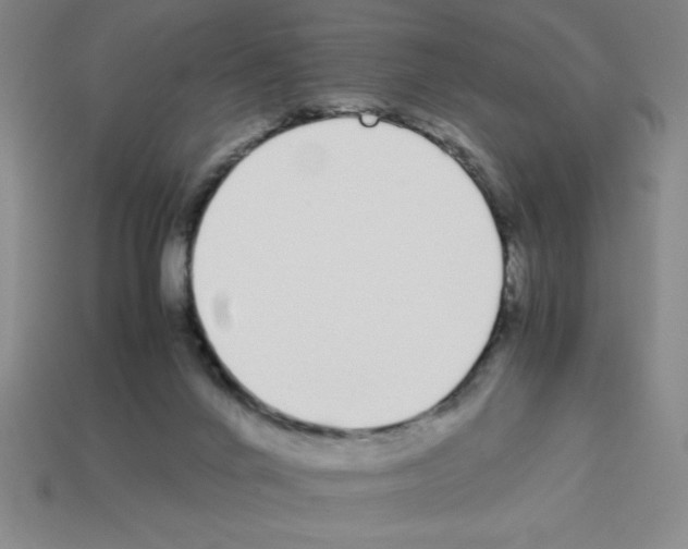 X0000112870024200910021342