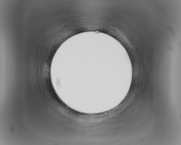 X0000112870025200910021342