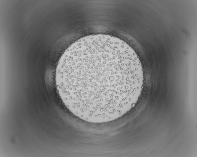 X0000112870026200910021342