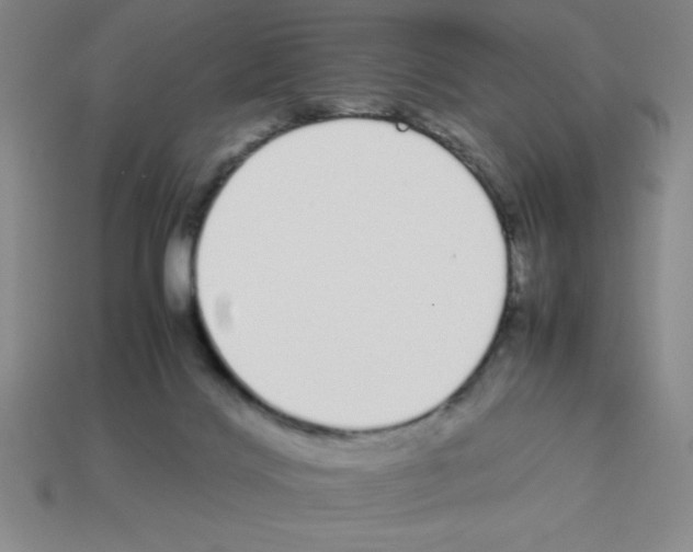 X0000112870028200910021342