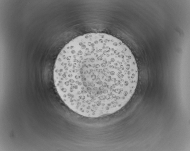 X0000112870030200910021342