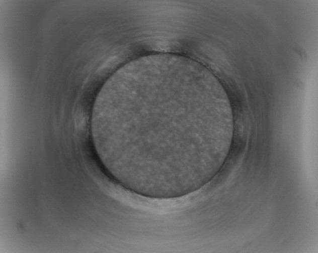 X0000112870031200910021342