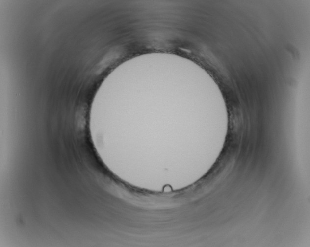 X0000112870032200910021342