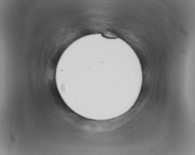 X0000112870033200910021342