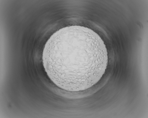 X0000112870034200910021342