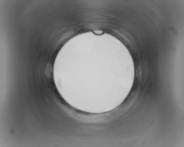 X0000112870036200910021342