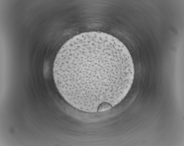 X0000112870038200910021342