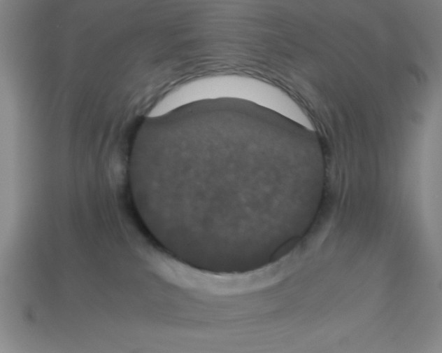 X0000112870039200910021342