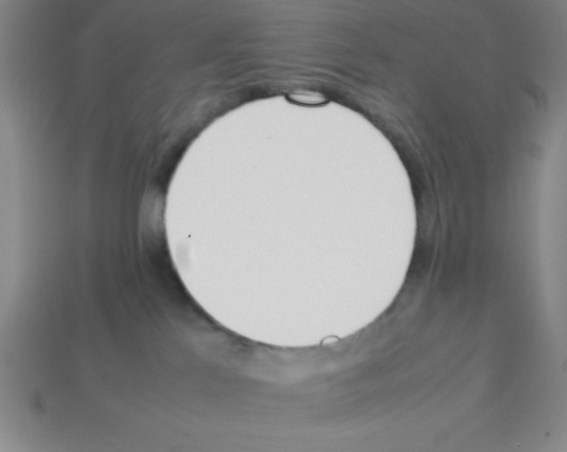 X0000112870041200910021342