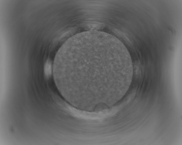 X0000112870042200910021342