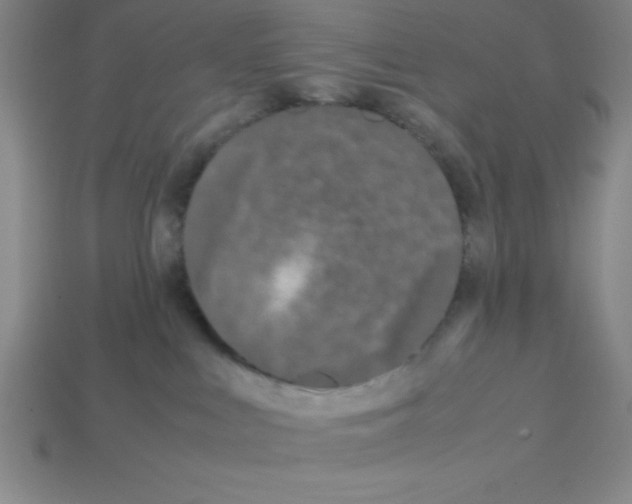 X0000112870043200910021342