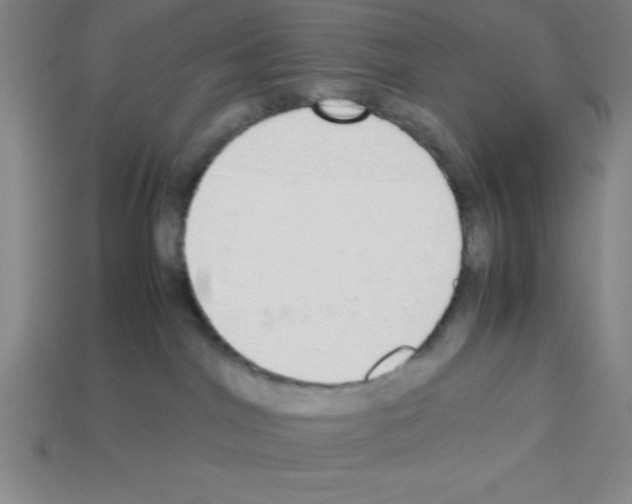 X0000112870044200910021342