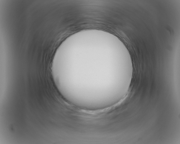 X0000112870045200910021342